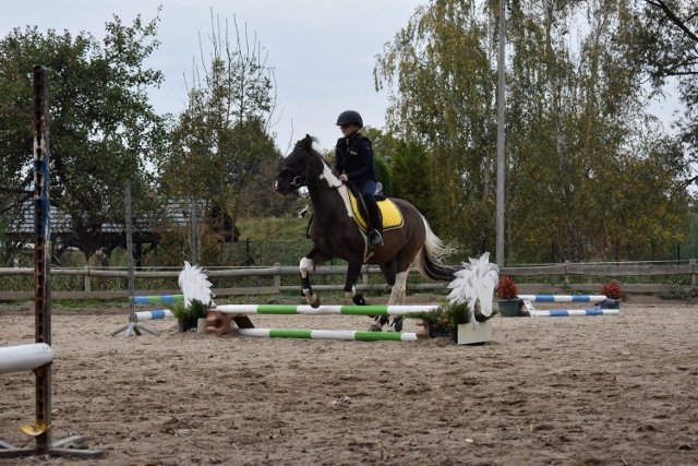 bABIE lATO 2018
